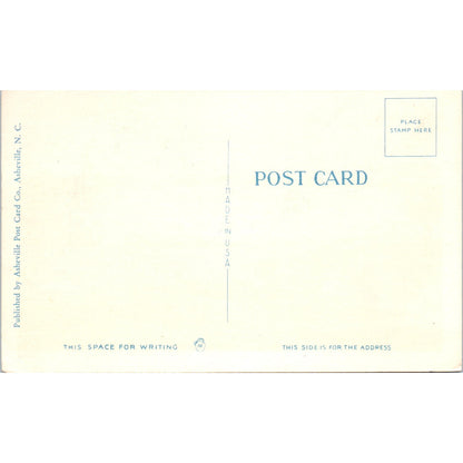 Liberty Heights Swimming Pool Martinsville VA Original Postcard P1-13