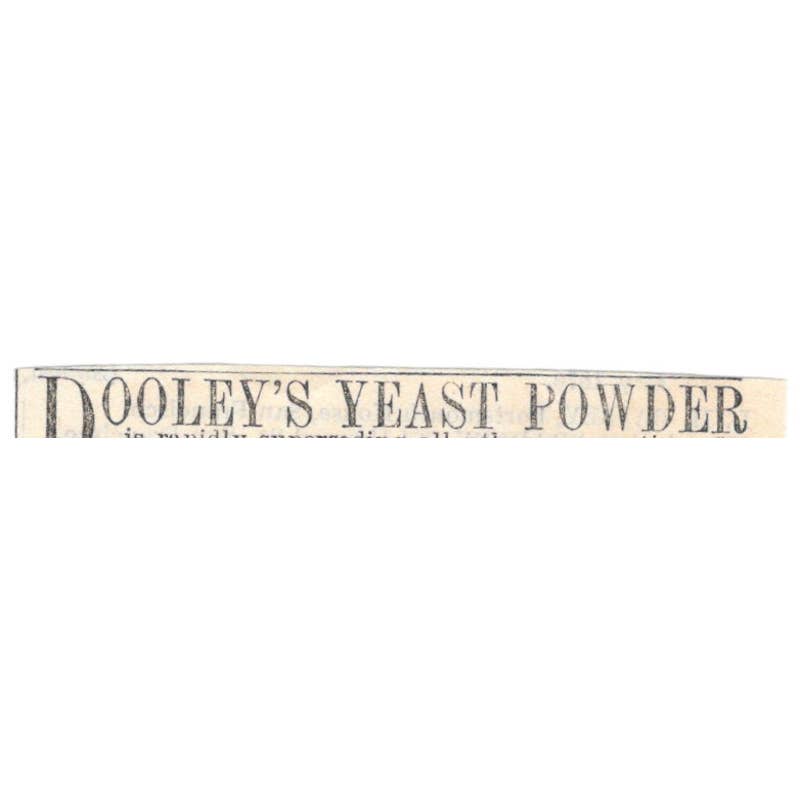 Dooley's Yeast Powder New York - Ad 1878 Original TJ7-L2-3