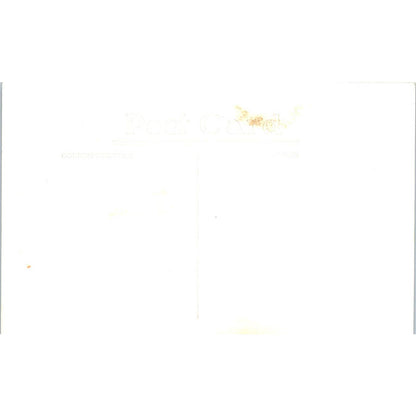 Cottage No. 3 Welch's Point Lake Eau Galle Wisconsin Original Postcard TJ9-P3