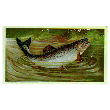 Fishing - Arbuckle Bros Coffee - 1880s Victorian Trade Card TJ8-3