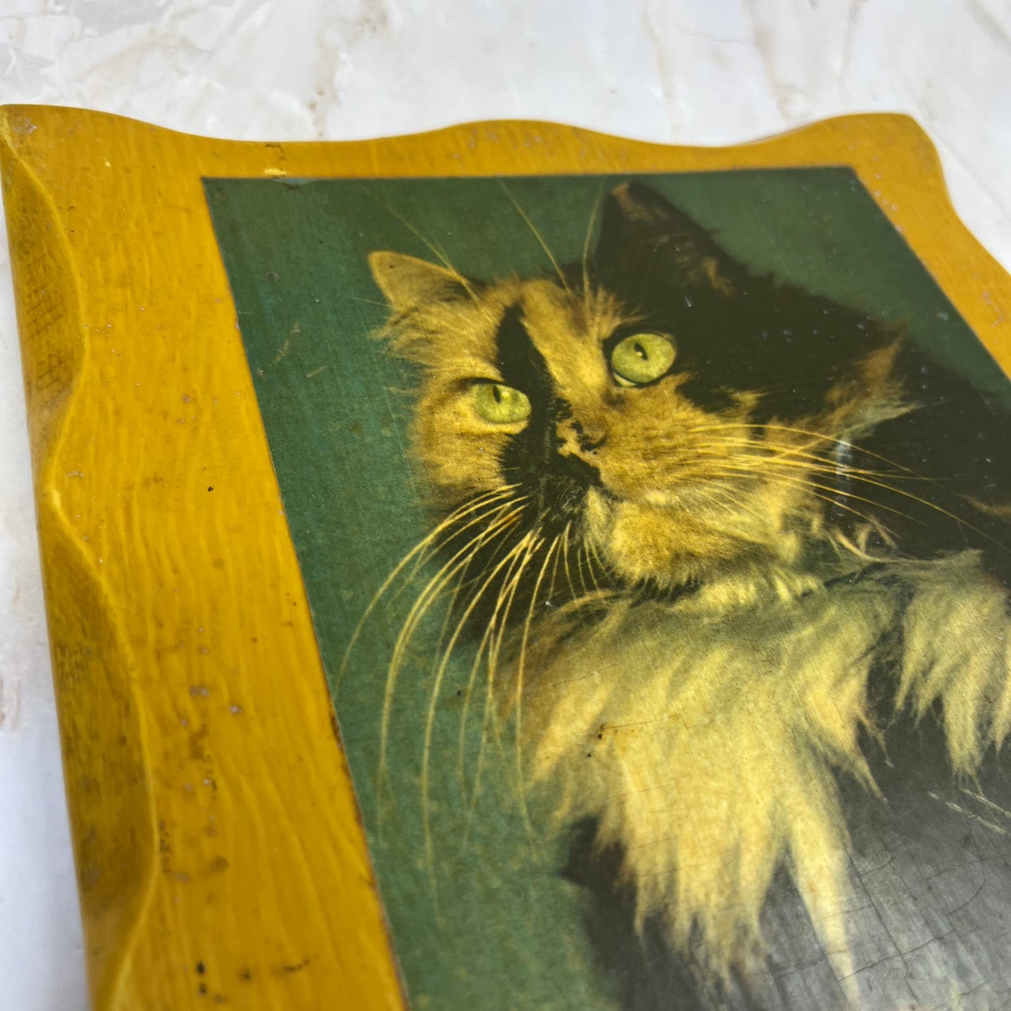 Vintage Retro Rustic Decoupage Photo of Calico Cat on wood plank 8x9.5" TE5