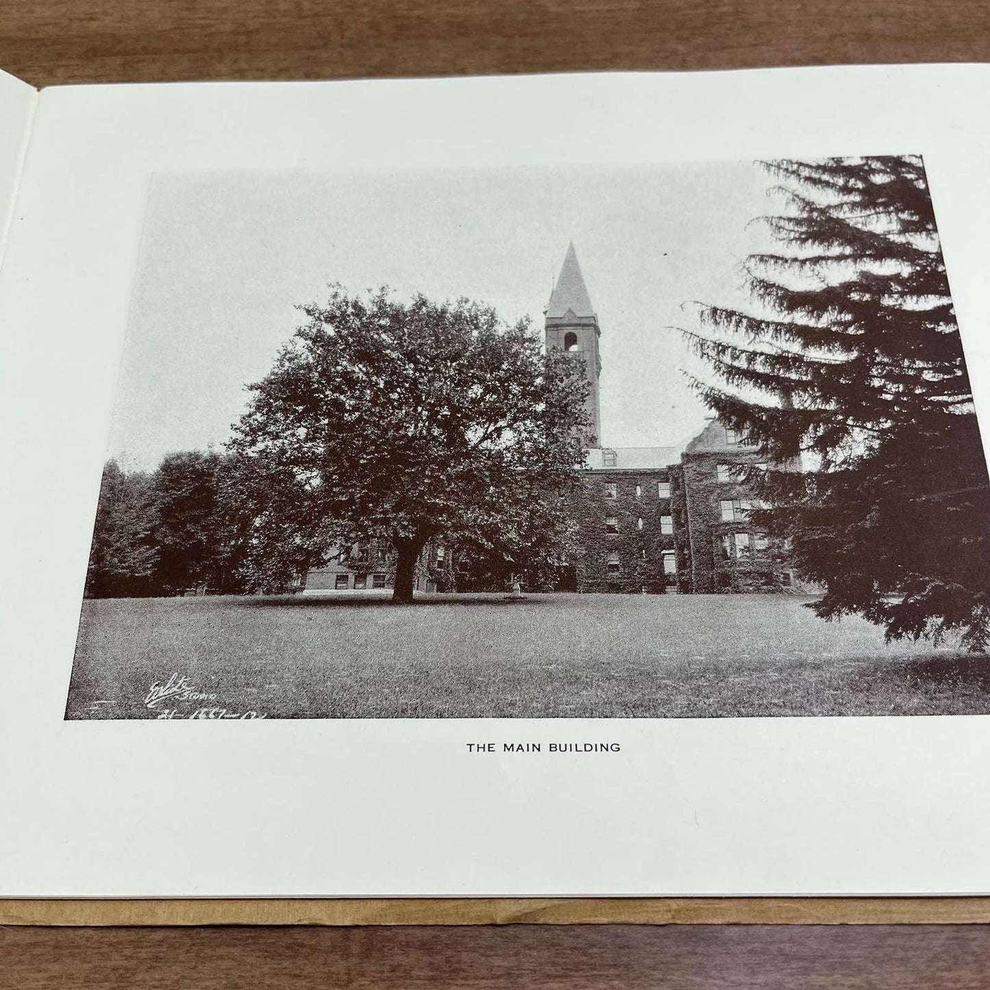 c1900 Views of Wells College Aurora-on-Cayuga New York Photo Book Album 8x10 A9