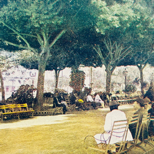 1905 Stereoview Card Beautiful Central Park Havana Cuba