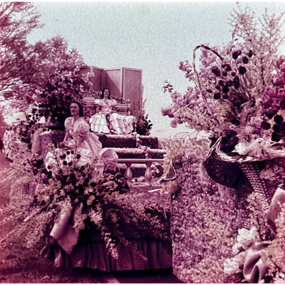 1960s Tulip Time Holland Travel Slide Set of 3 2x2 Slides TK2-S4-14