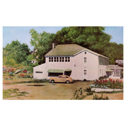 Vintage Postcard - Big Springs Dining Room C.E. Meyers Martinsburg W. Va AD9