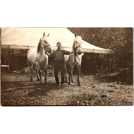 Antique Postcard RPPC Man With 2 White Horses Outside Tent c1910 SE8