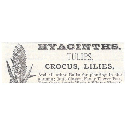 Hyacinths Henry A. Dreer Philadelphia - Victorian Ad 1878 Original TJ7-L2-1