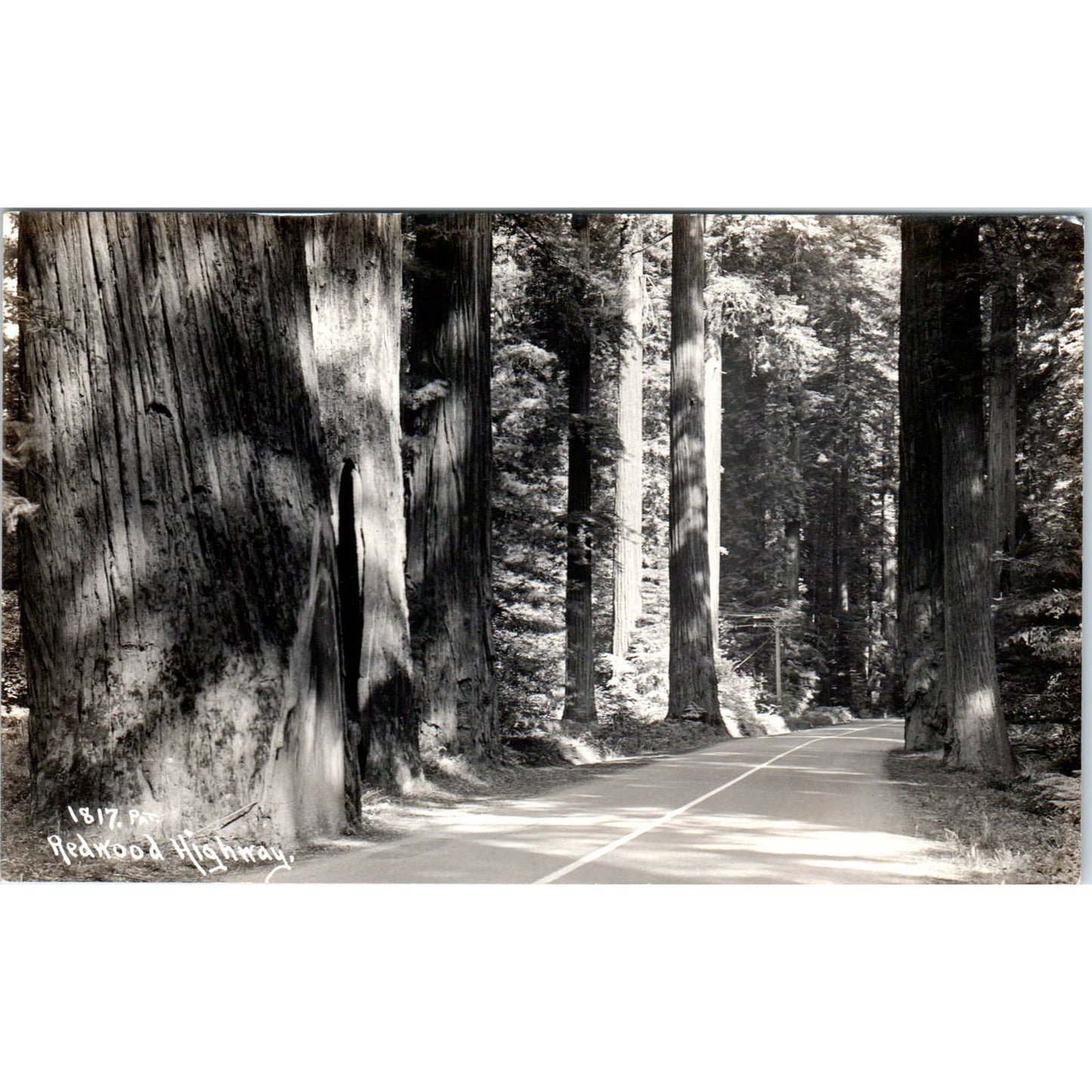 Redwood Highway California - Original RPPC Postcard TJ9-P1
