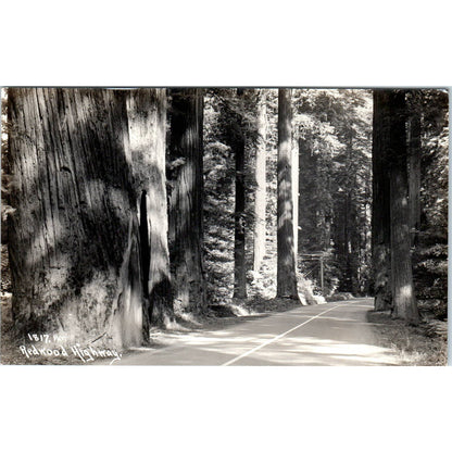 Redwood Highway California - Original RPPC Postcard TJ9-P1