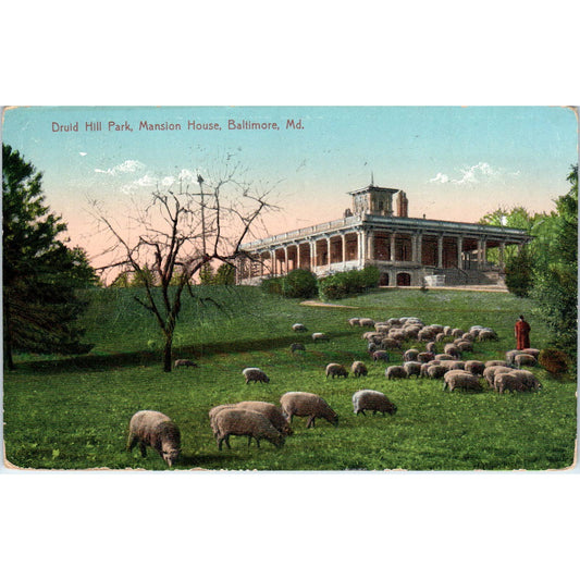 Druid Hill Park Mansion House Baltimore MD c1910 Original Postcard TK1-28