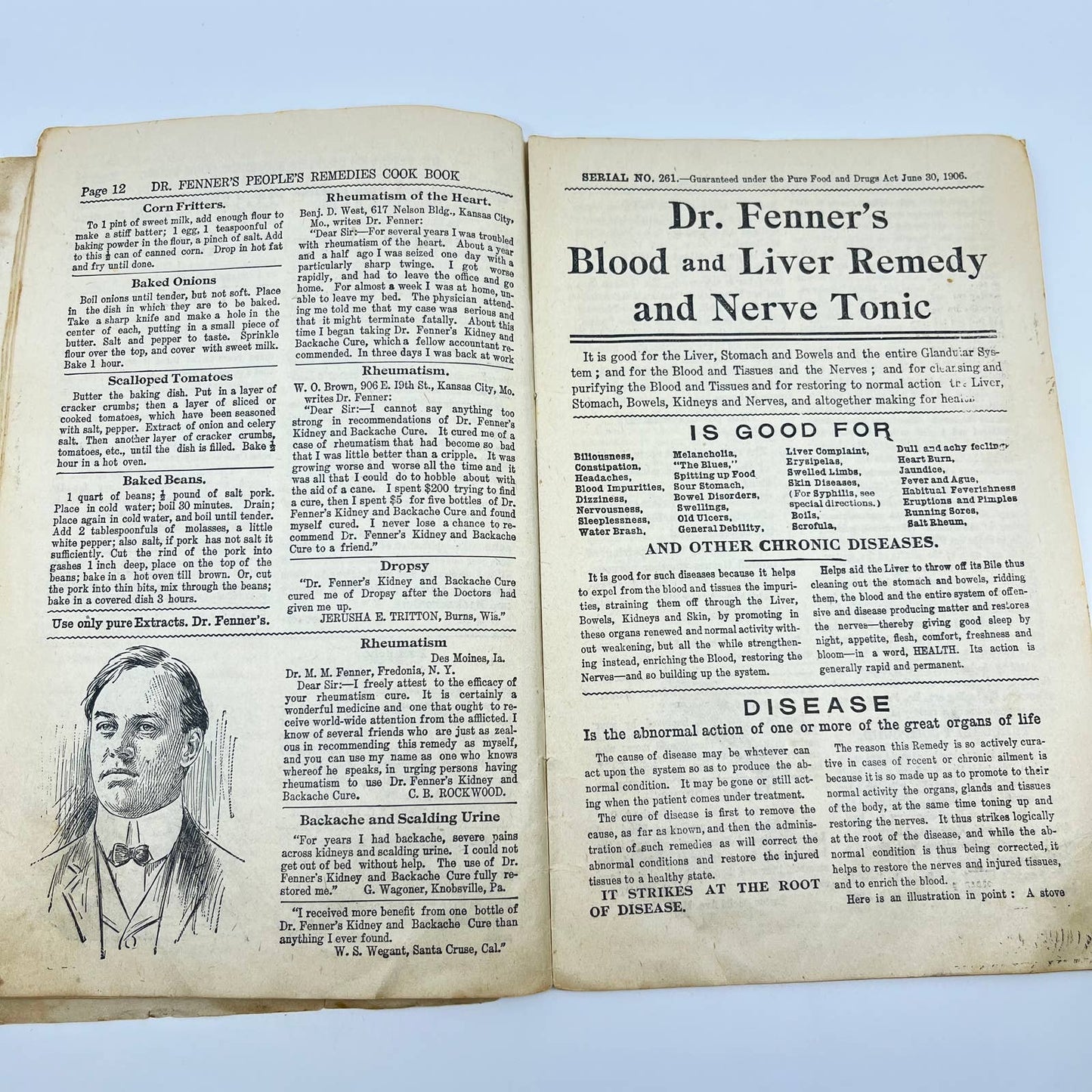 1906 Dr. Fenner’s Cook Book Quack Medicine Recipes Fredonia NY TE2