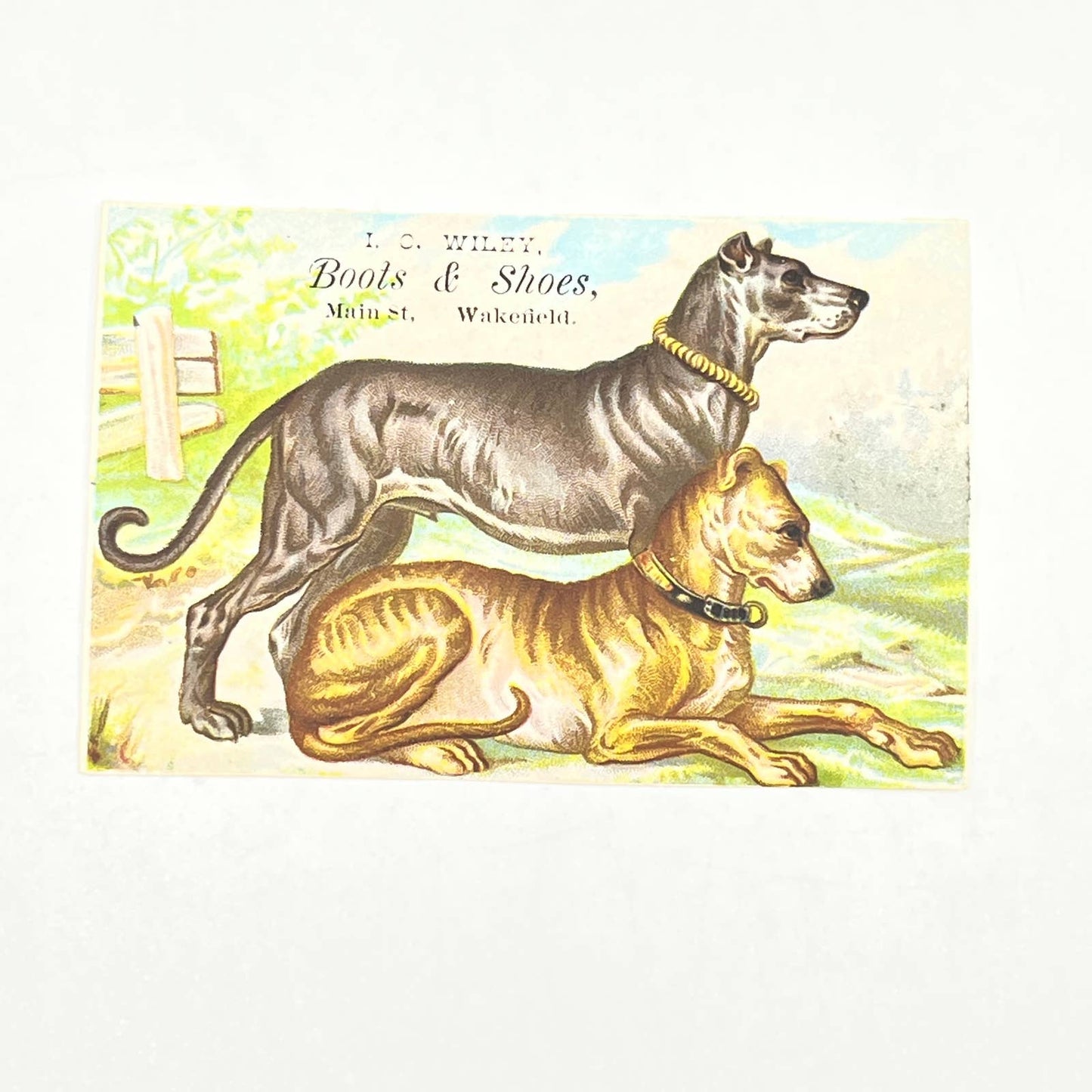 1880s Victorian Trade Card Great Dane Dogs I.C Wiley Boots & Shoes Wakefield AB6