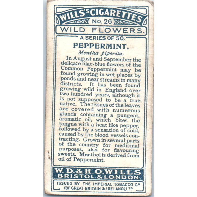 1923 Wills's Cigarette Card Wild Flowers #26 Peppermint SE5