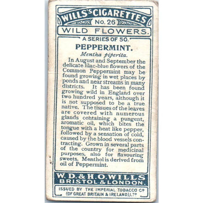 1923 Wills's Cigarette Card Wild Flowers #26 Peppermint SE5