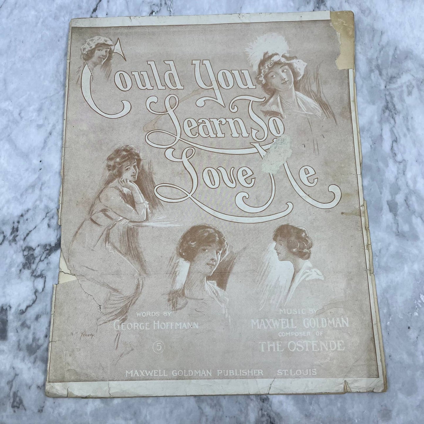 1911 Sheet Music Could You Learn to Love Me Dearie Maxwell Goldman TH5