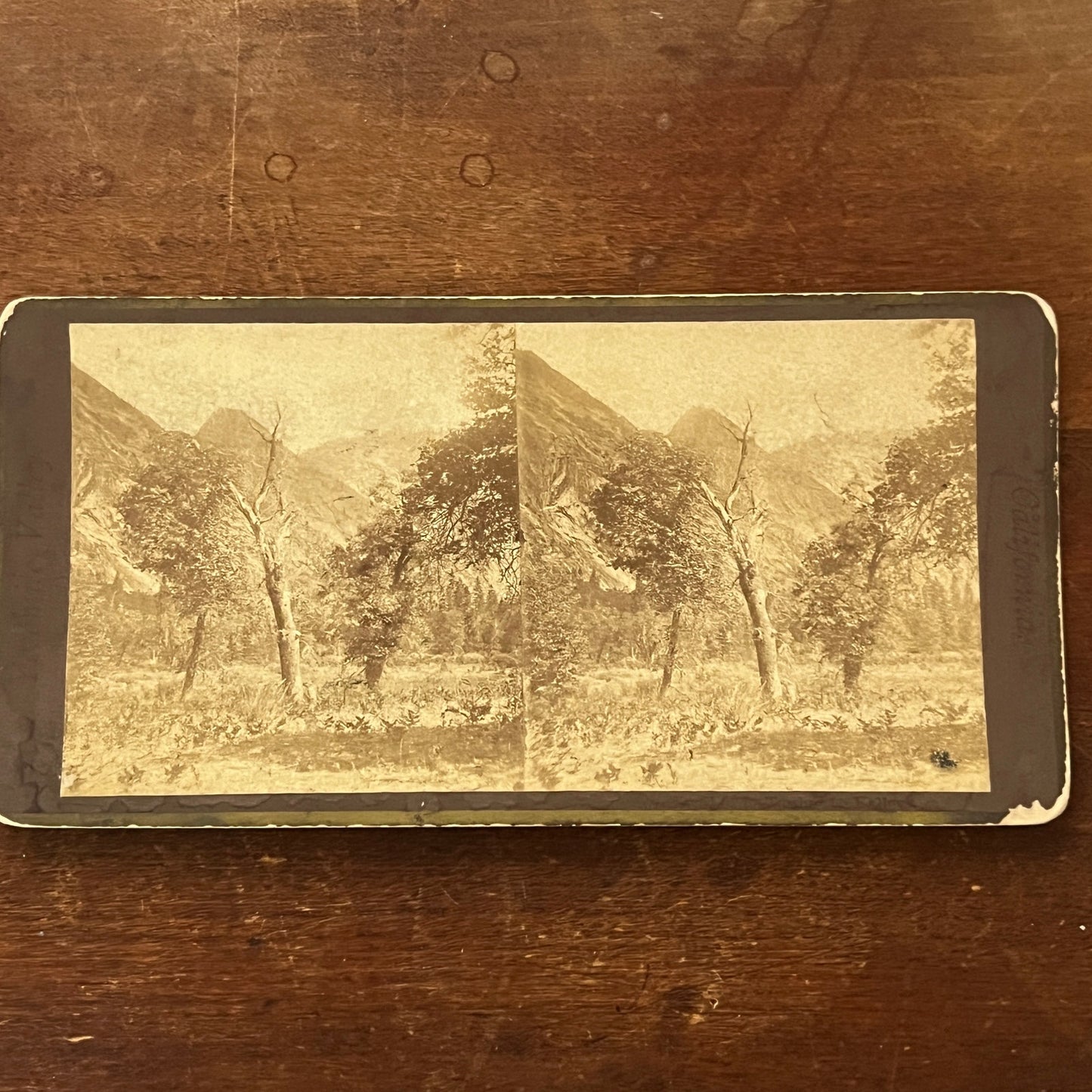 Mountain View, Yosemite Valley California Antique Stereoview Card H2-2