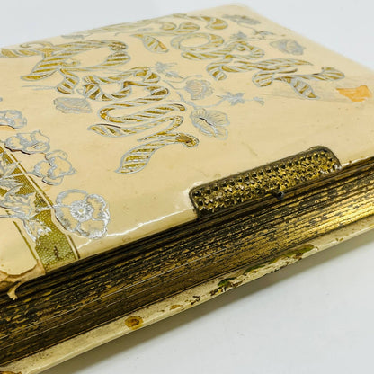 1880s Victorian Photo Album “Floral Album” Ornate Pages 10.5 x 9” TB6