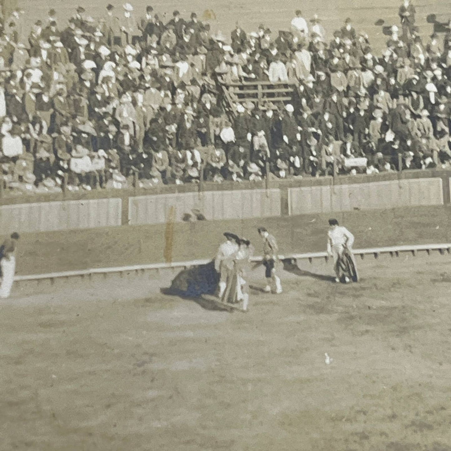 1903 Original Photo Bullfighting Bullfight At Plaza de Toros Mexico City AC7-2