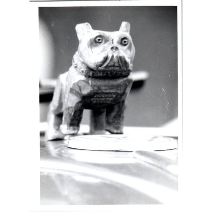 c1970 Original Photograph of a Carved Bulldog 5x7 AD6