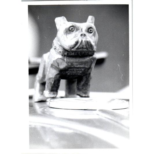 c1970 Original Photograph of a Carved Bulldog 5x7 AD6