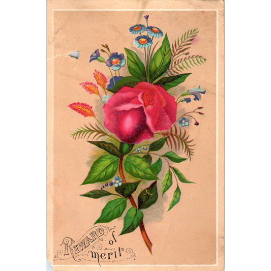 1880s Victorian Trade Card Reward of Merit Anna M. Patterson Red Rose SF2