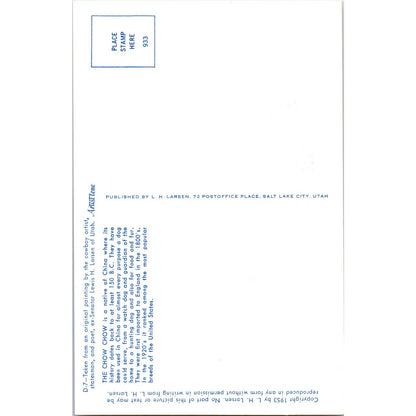 Lewis H. Larsen 1953 The Chow Chow Dog Painting Original Postcard TK1-27-2