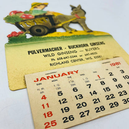 1981 Die Cut Embossed Calendar Pulvermacher Ginseng Buyer Richland Center WI TD3