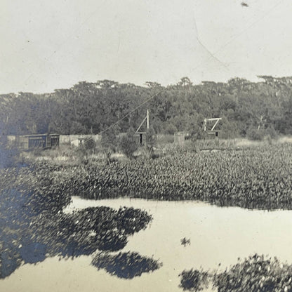 1903 Original Photo Pond Lillies Southern Pacific Railroad RR in Louisiana AC7