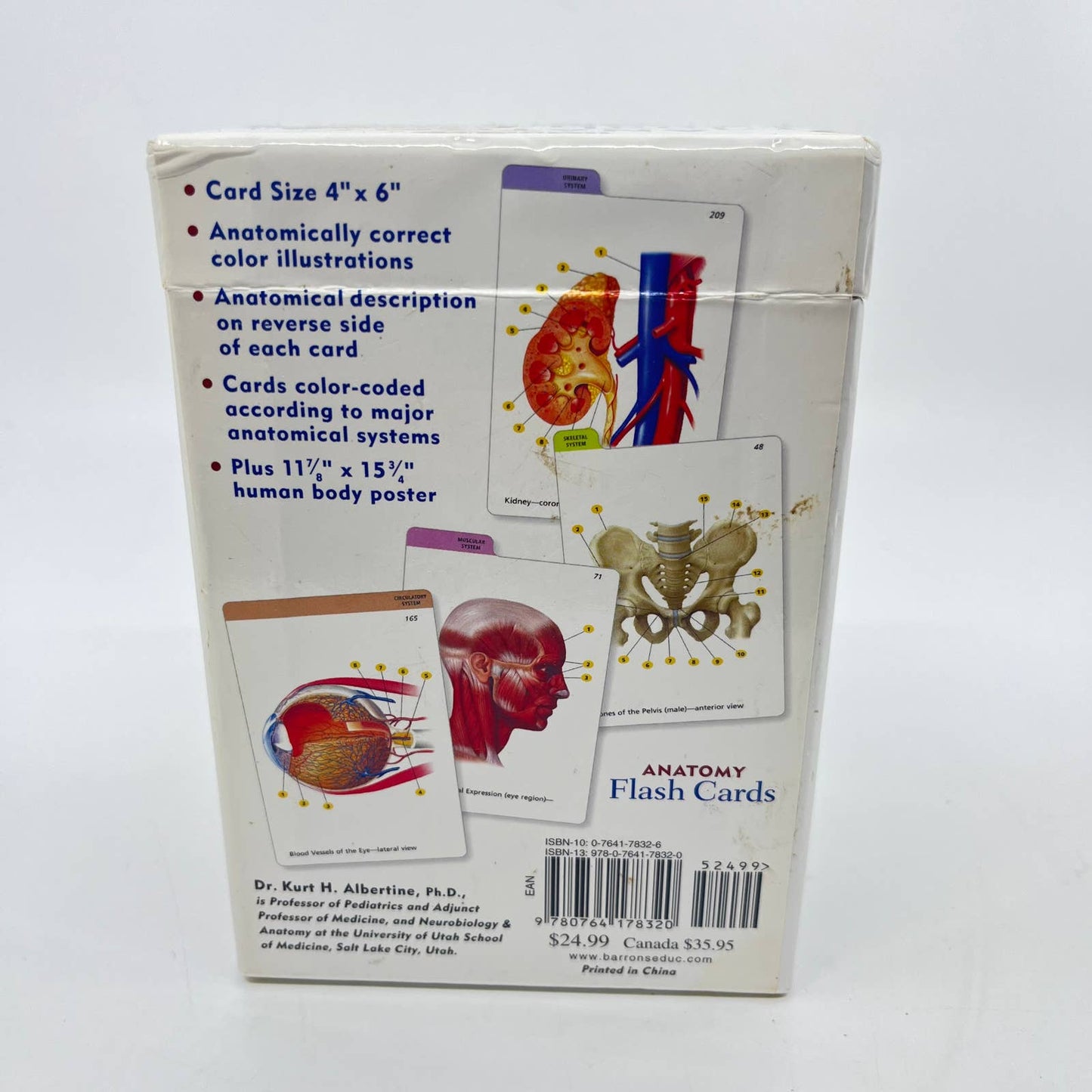 Barron's Anatomy Flash Cards by Kurt Albertine TE5