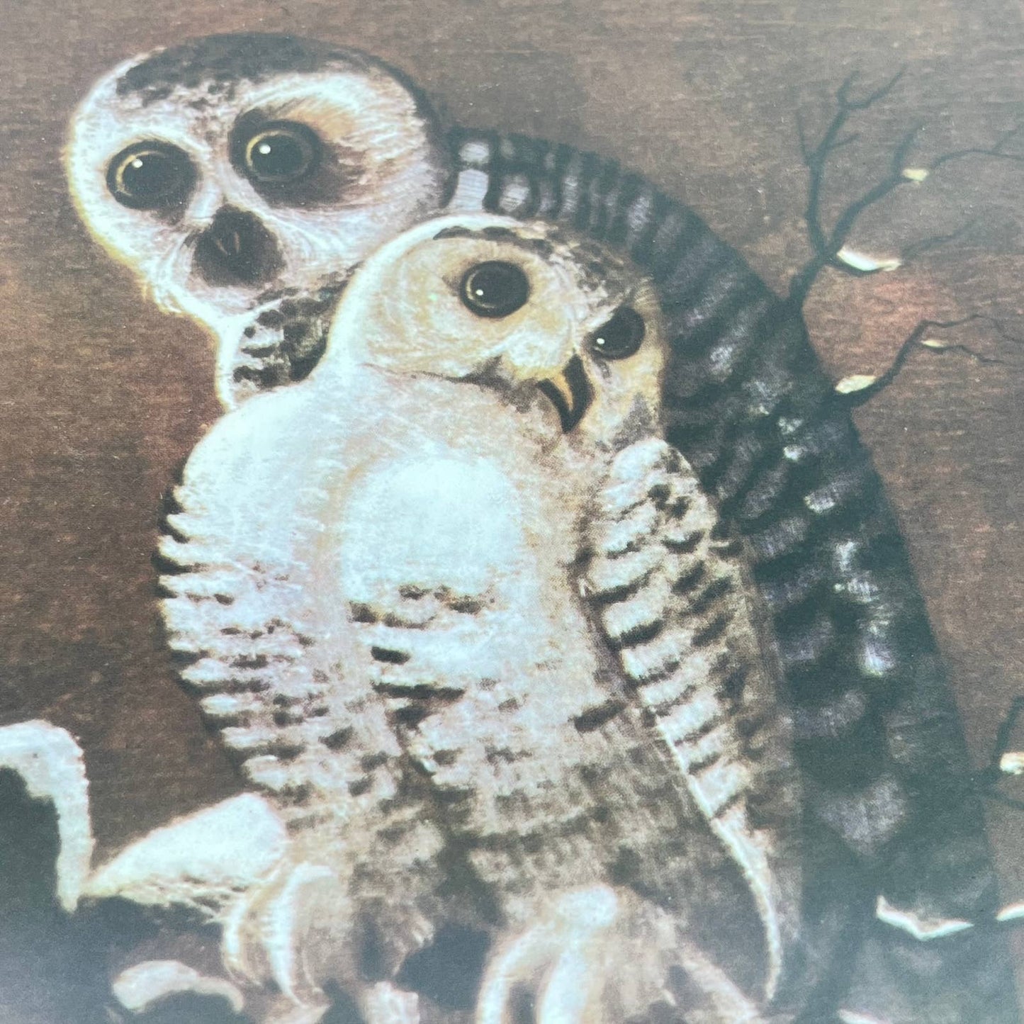 Vintage Framed Print Mother Owl and Baby Owlet 8x10” TE6