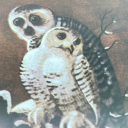 Vintage Framed Print Mother Owl and Baby Owlet 8x10” TE6