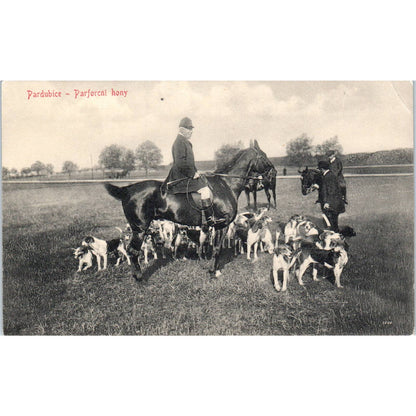 Czech Fox Hunting Pardubice Parforent hunts c1910 Original Postcard TK1-23