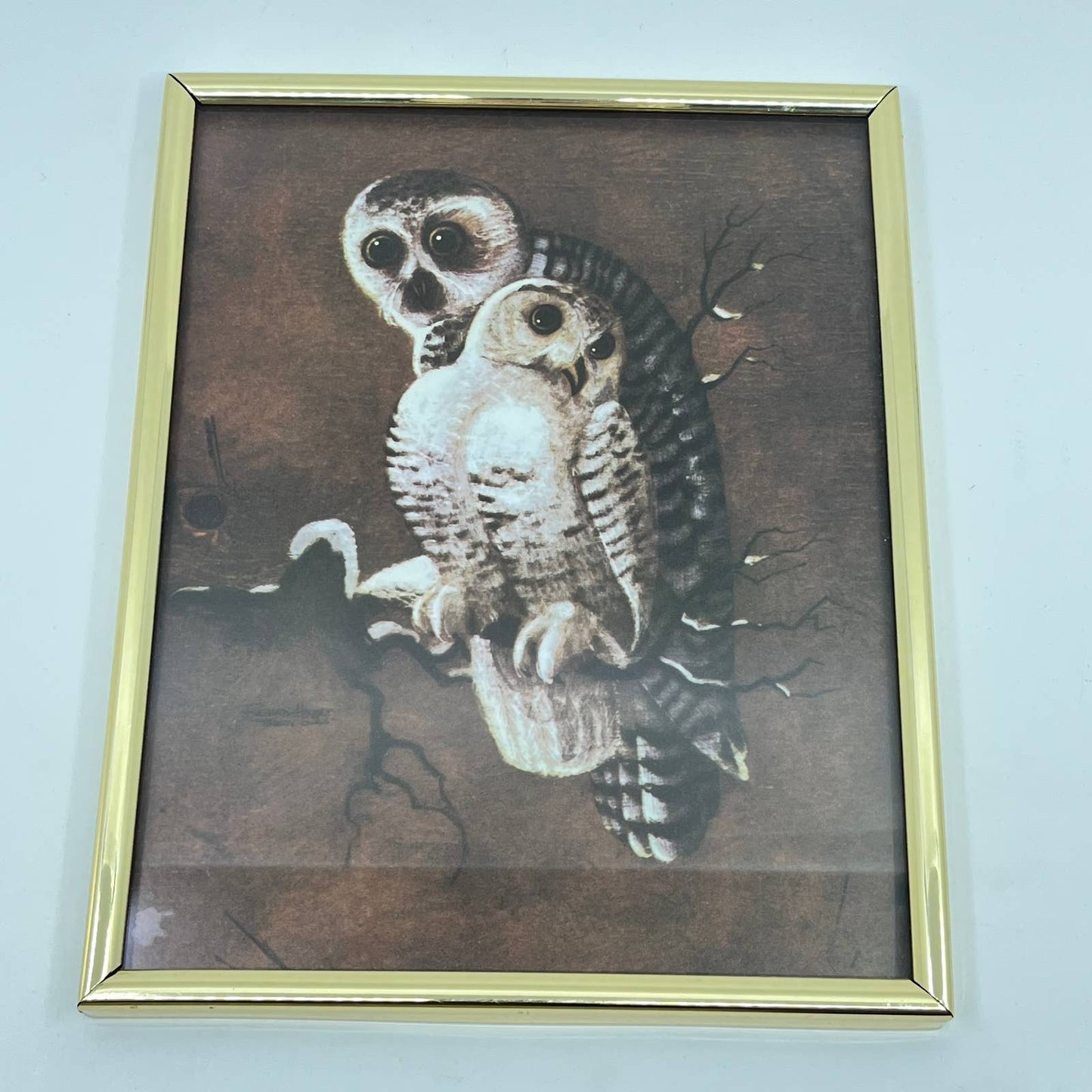 Vintage Framed Print Mother Owl and Baby Owlet 8x10” TE6