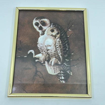 Vintage Framed Print Mother Owl and Baby Owlet 8x10” TE6