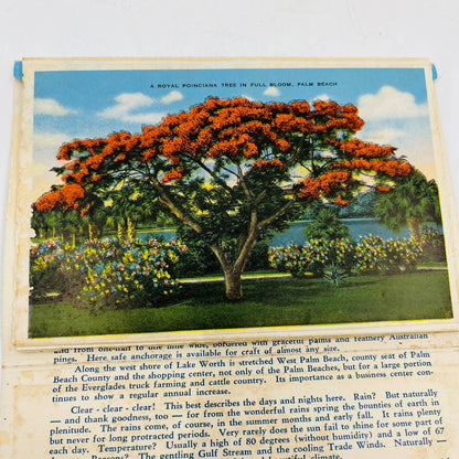 1960s The Palm Beaches Florida Fold Out Postcard Souvenir Book EA1
