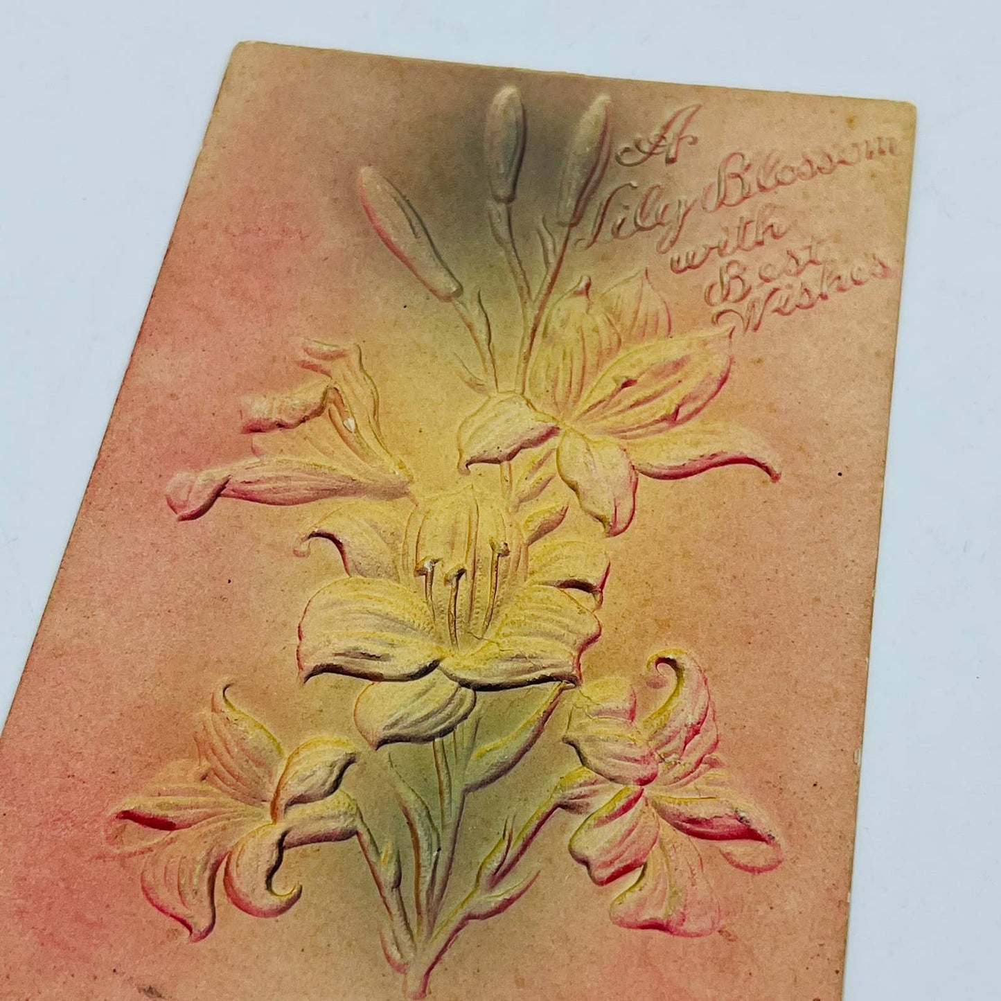 1910s Post Card Embossed Airbrushed Lily Blossom Best Wishes PA6