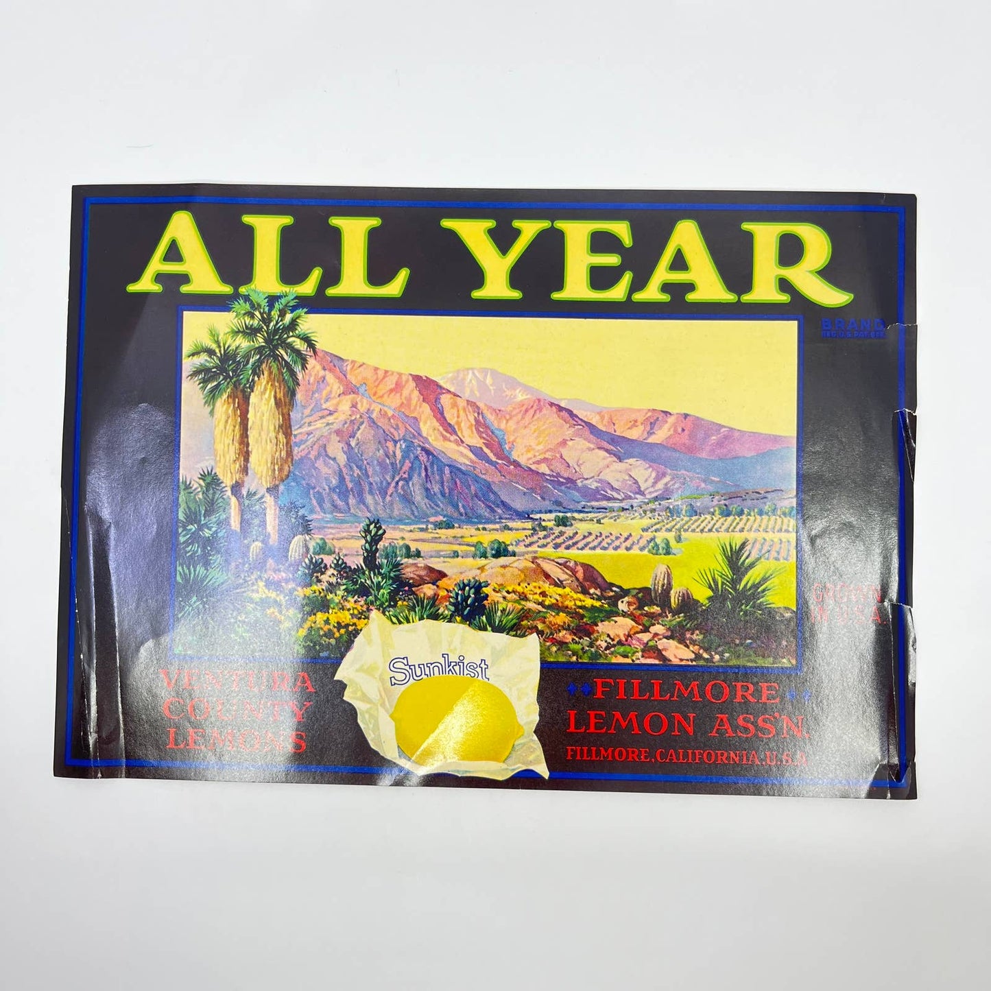 Original 1930's All Year Sunkist Lemons Crate Label Ventura Fillmore CA FL3
