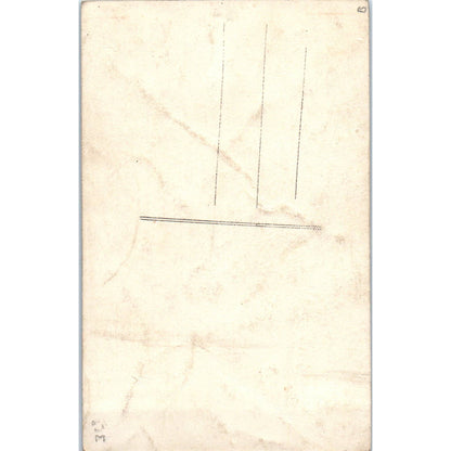 Antique Postcard Hand Tinted Romantic Victorian Couple SE8