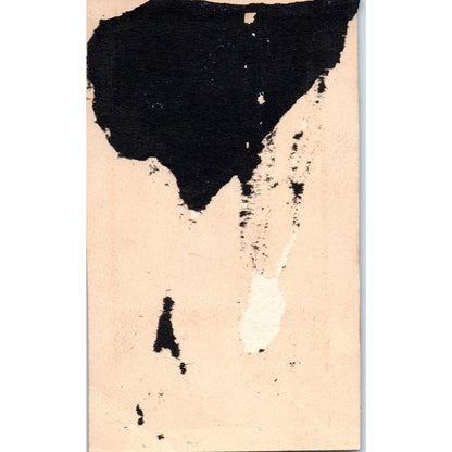 1920 Victorian Greeting Card Illustrated Family Returns Home in a Carriage SE4