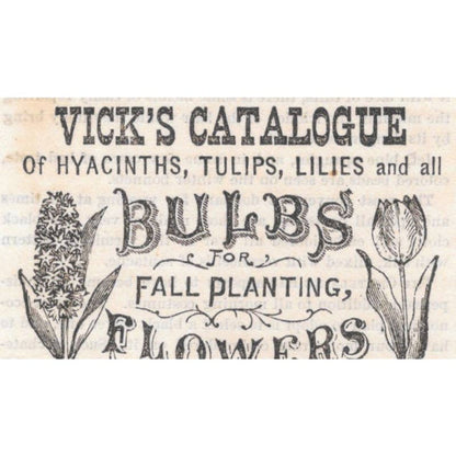 Vick's Catalogue of Flowers James Vick Rochester NY - Ad 1878 Original TJ7-L2-1