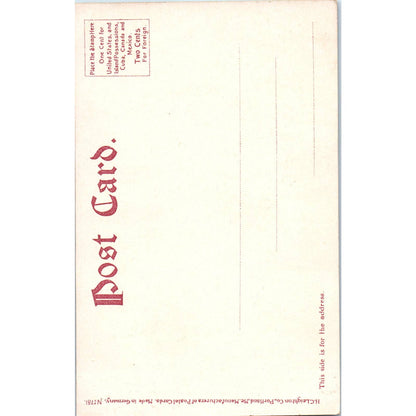 Antique Postcard Fairmount Park "In the Dell" Philadelphia PA TI1-1