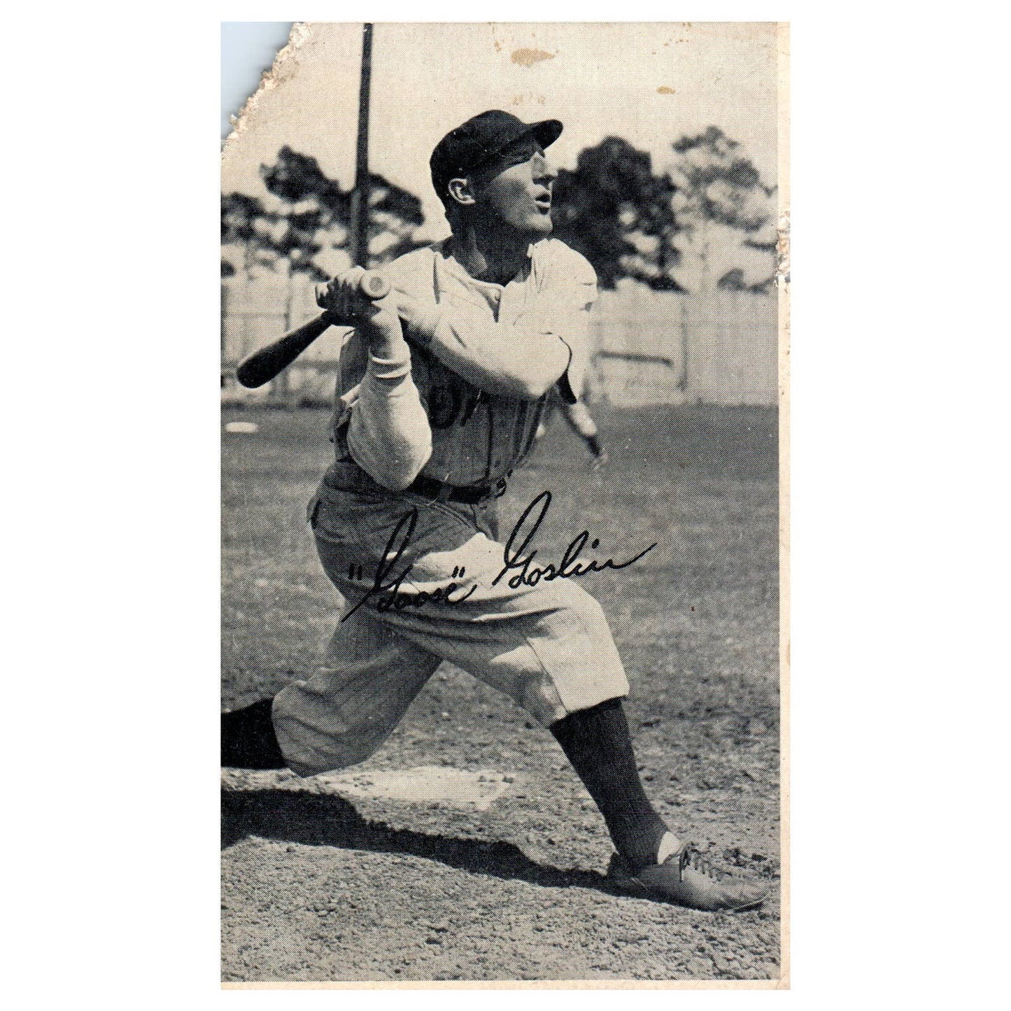 1934 Gold Medal Flour Goose Goslin Detroit Tigers HOF 1934 World Series TJ8-1