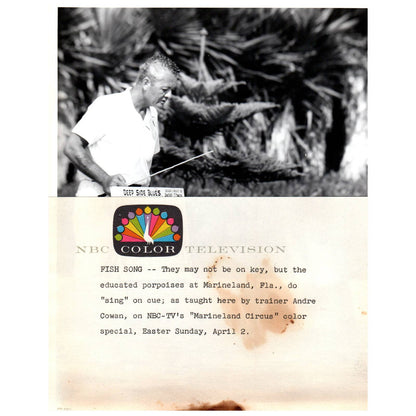 c1960 Press Photo Dolphin Trainer Andre Cowan Marineland Circus NBC TJ7-2