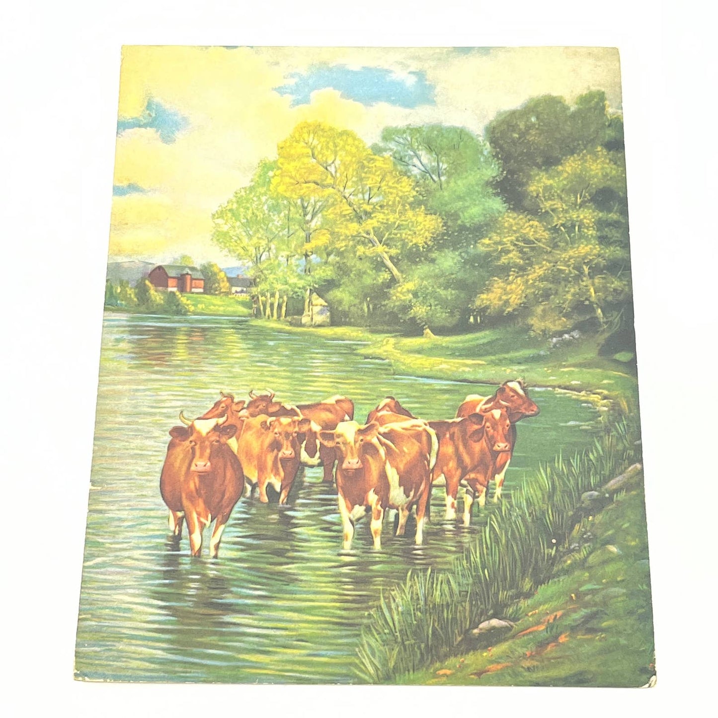 Vintage Cow Herd Country Lithograph Print 6 1/2 x 8 1/4" AB7