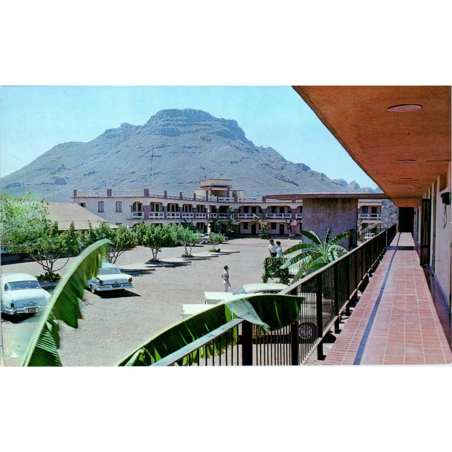 Hotel Miramar Guaymas Sonora Mexico - Original Postcard TJ7-RP3