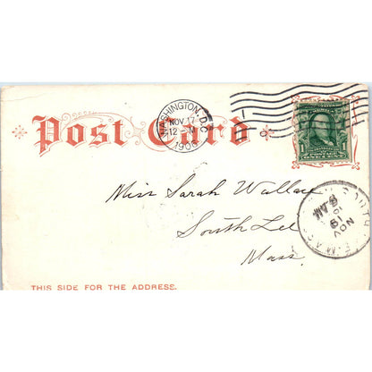 Botanical Garden 1906 Washington D.C. Original Postcard TK1-P2