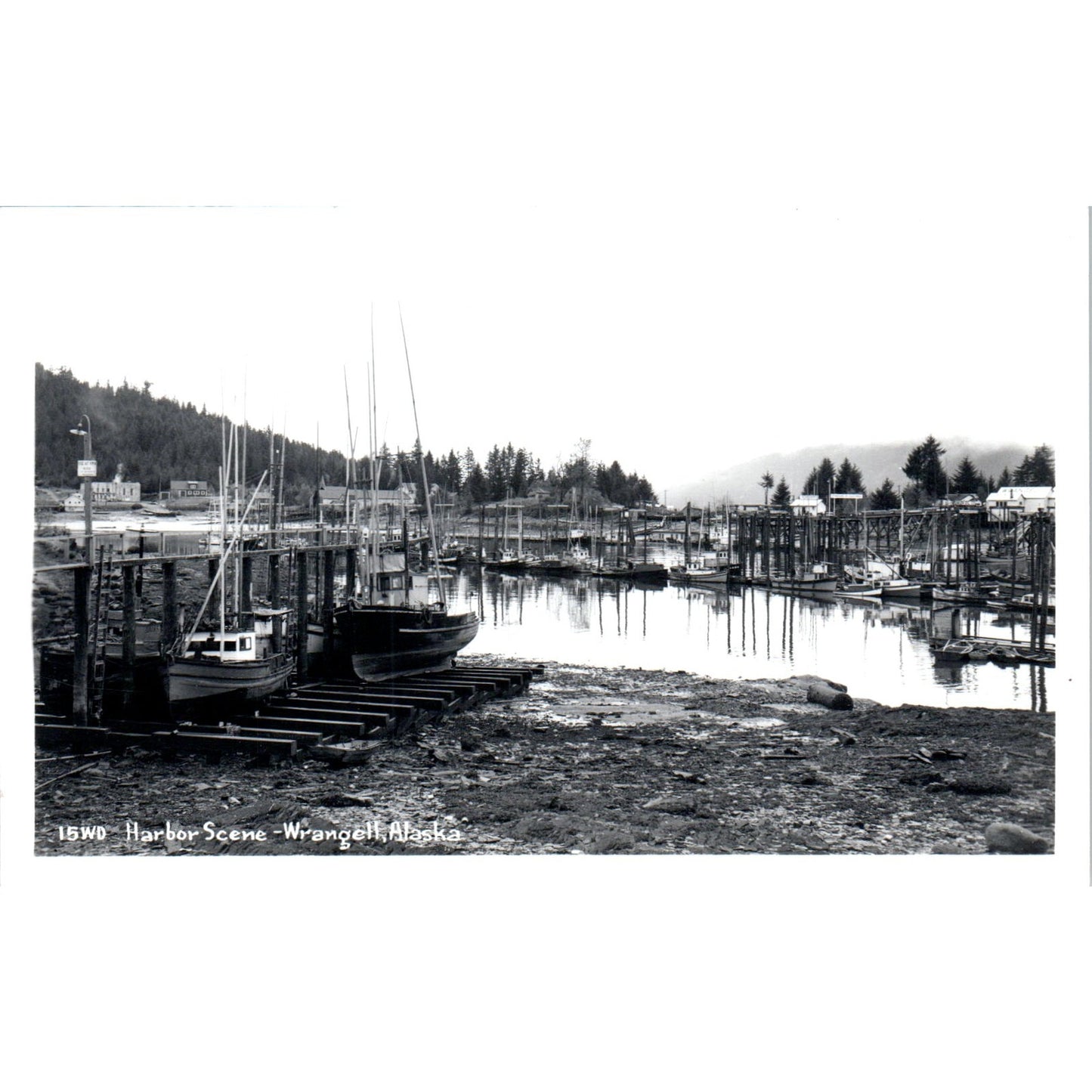 Harbor Scene Wrangell RPPC Alaska Original Postcard P2-6