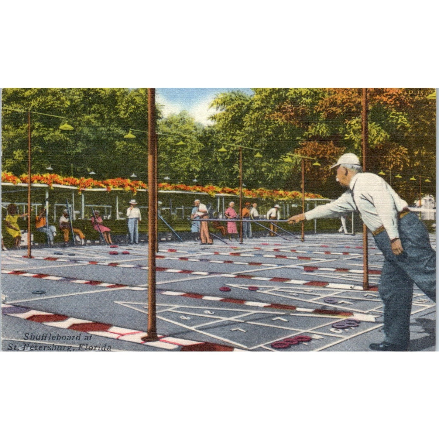 Shuffleboard at St. Petersburg FL 1956 Original Postcard P1-13