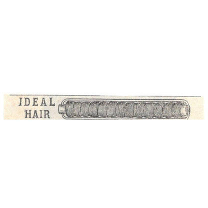 Ideal Hair Curler Wells Mfg Co. Boston - Ad 1878 Original TJ7-L2-4