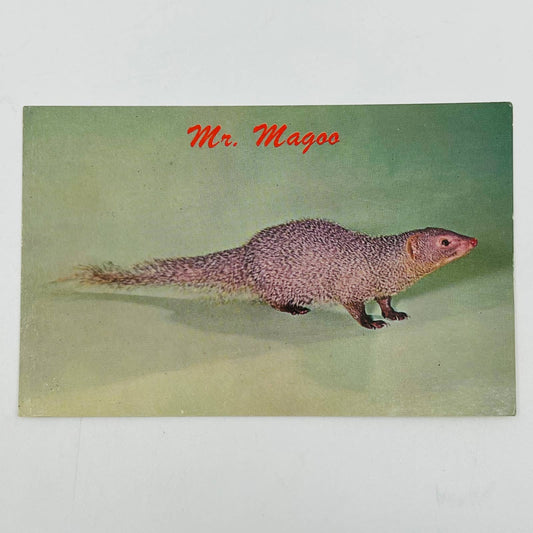 1960s DULUTH ZOO Minnesota MR. MAGOO Mongoose Postcard PA9